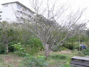 P1340566121003 (1).JPG